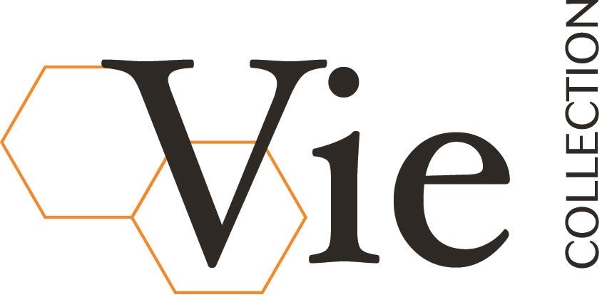 Skincare-Vie logo
